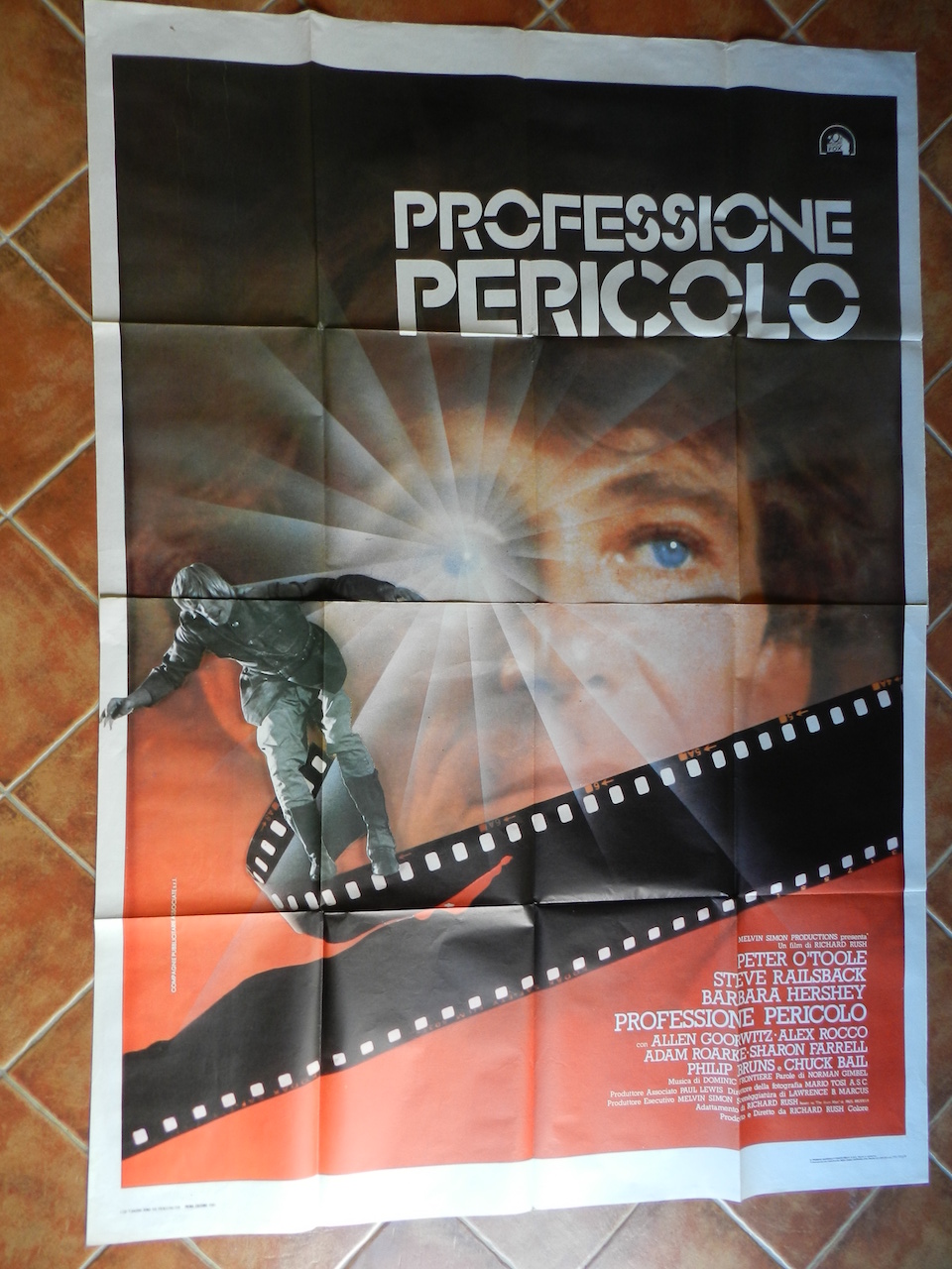 Professione pericolo