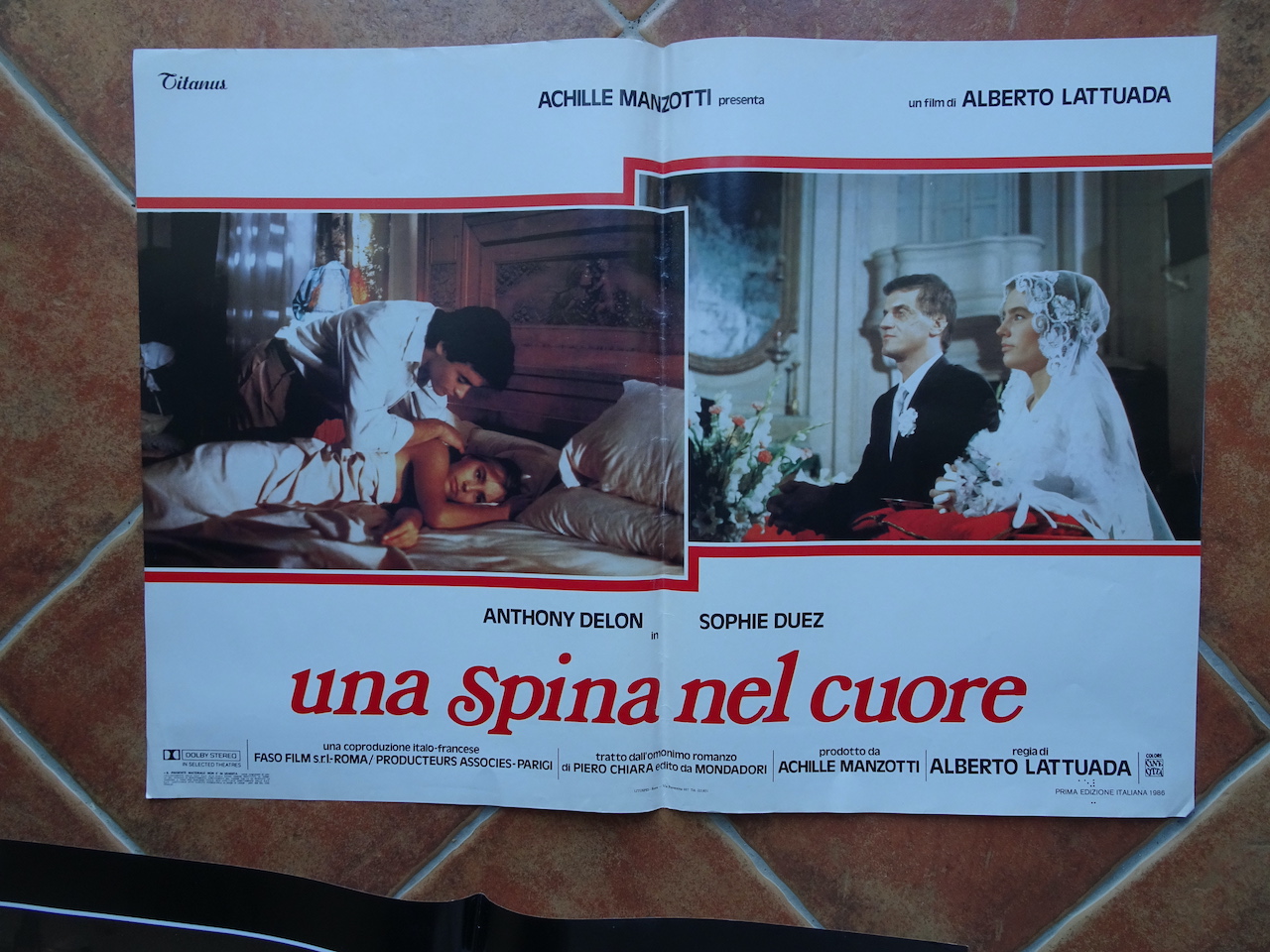 Una spina nel cuore