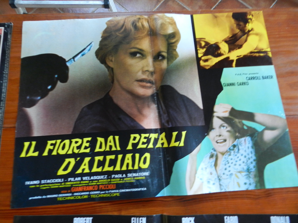 Il fiore dai petali d’acciaio_2