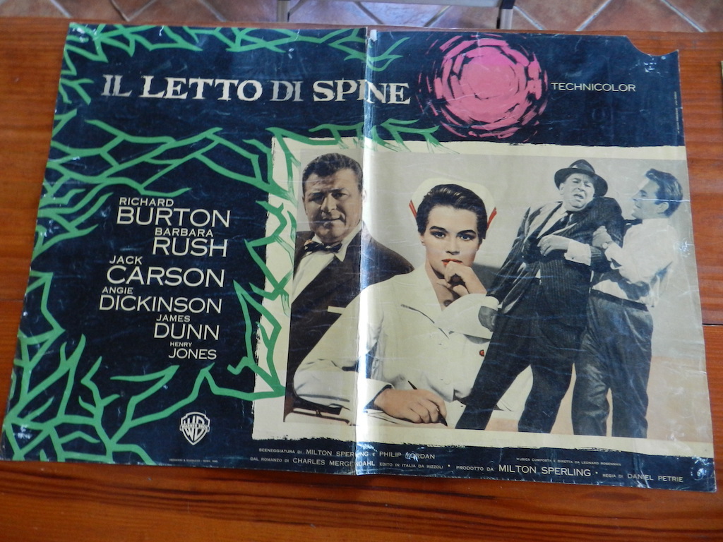 Il letto di spine