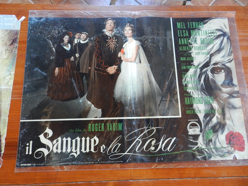 Il sangue e la rosa