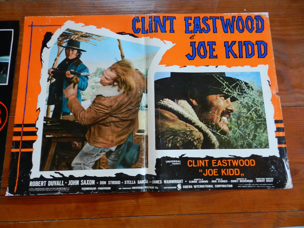 Joe Kidd
