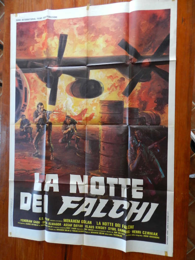 La notte dei falchi