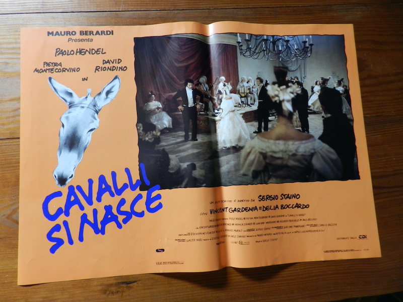 Cavalli si nasce_2