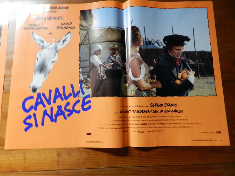 Cavalli si nasce_3