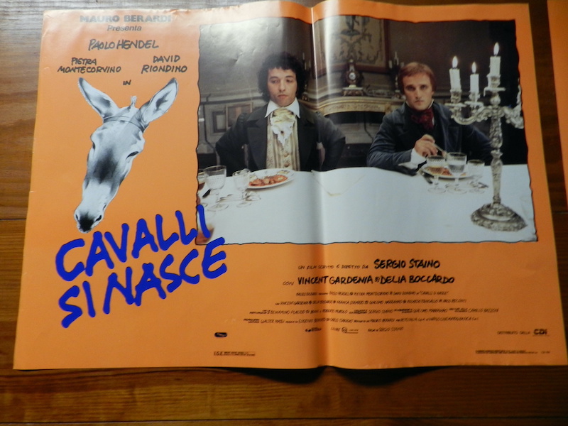 Cavalli si nasce_4