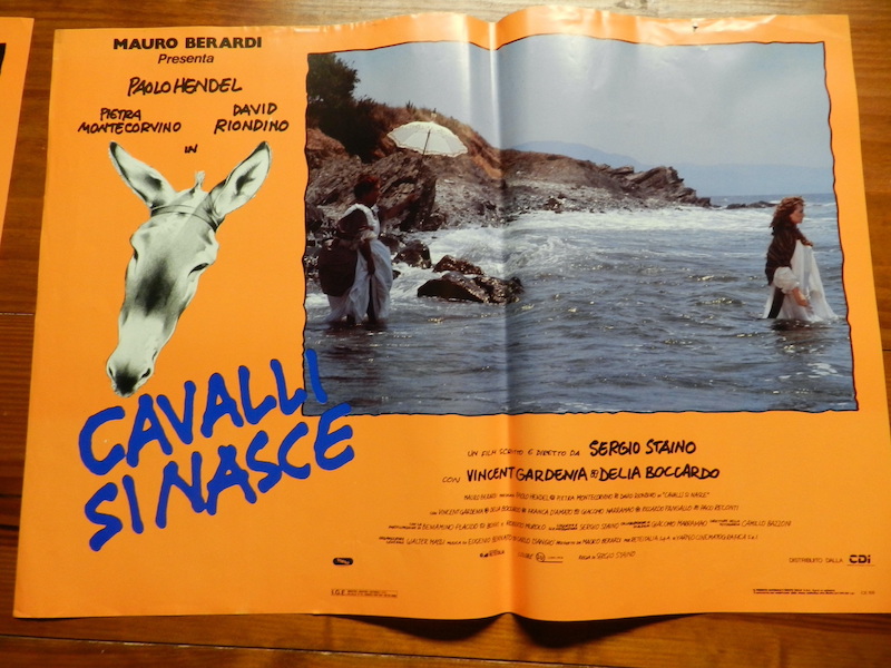 Cavalli si nasce_5