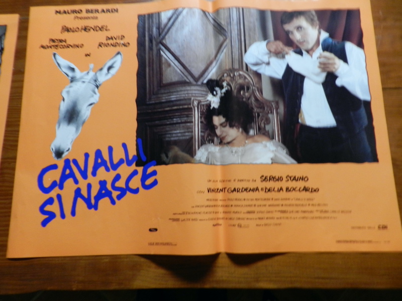 Cavalli si nasce_6
