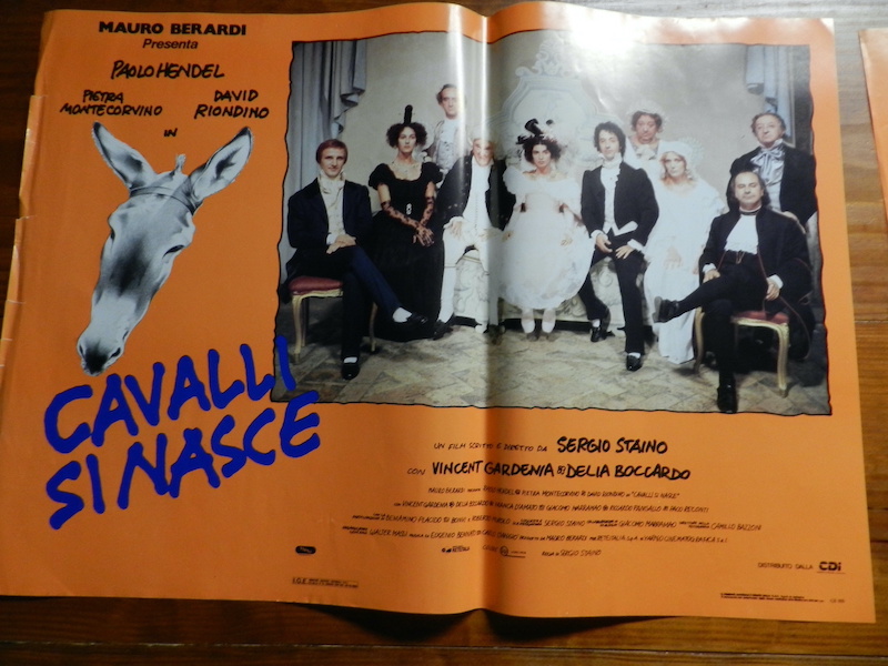 Cavalli si nasce_7