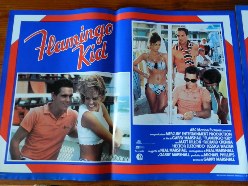 Flamingo Kid_2