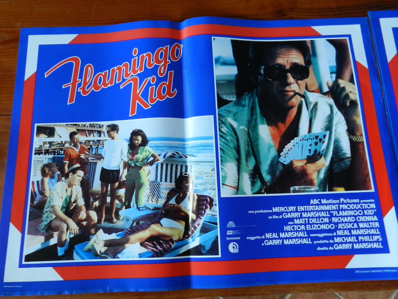 Flamingo Kid_5