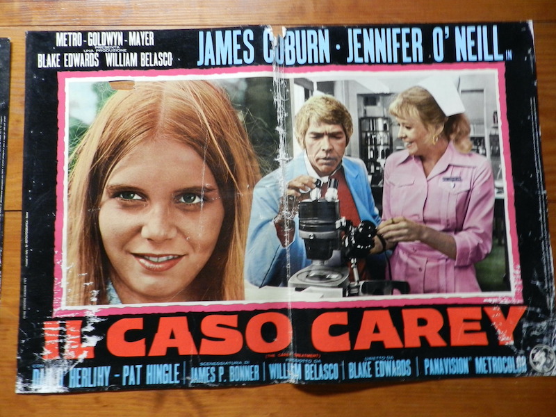 Il caso Carey