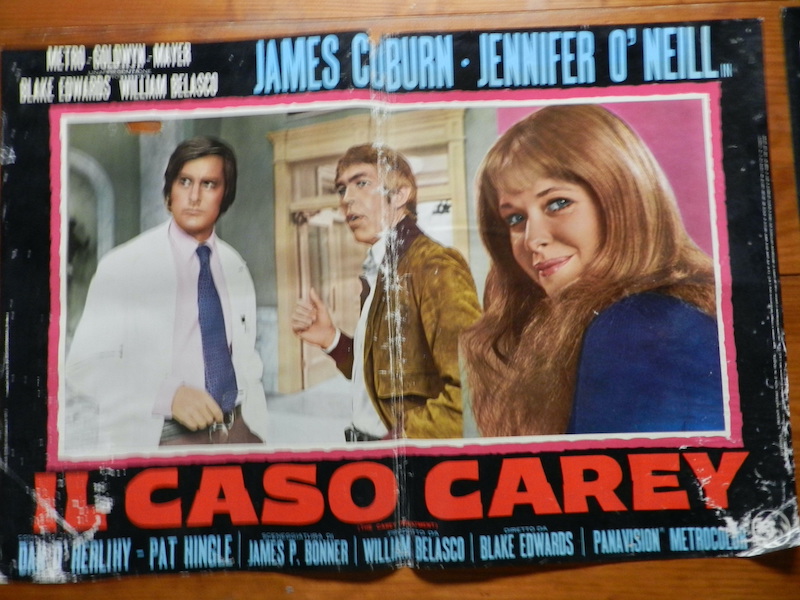 Il caso Carey_2