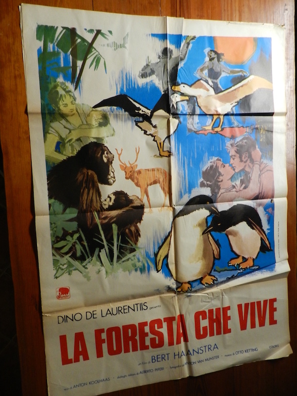 La foresta che vive