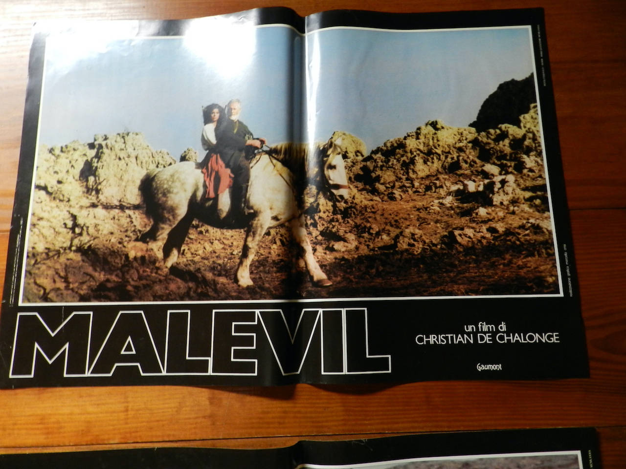 Malevil_2