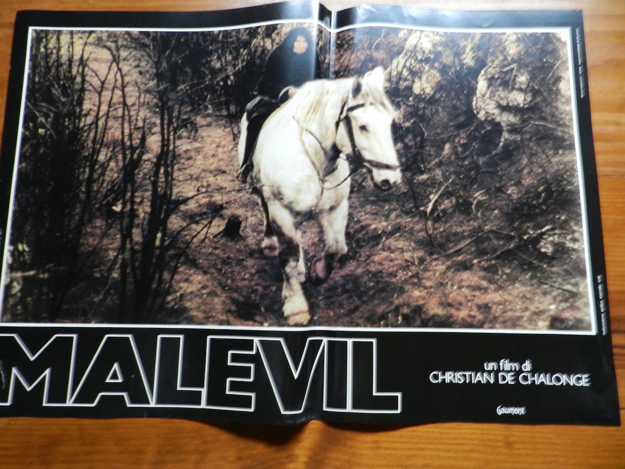 Malevil_5