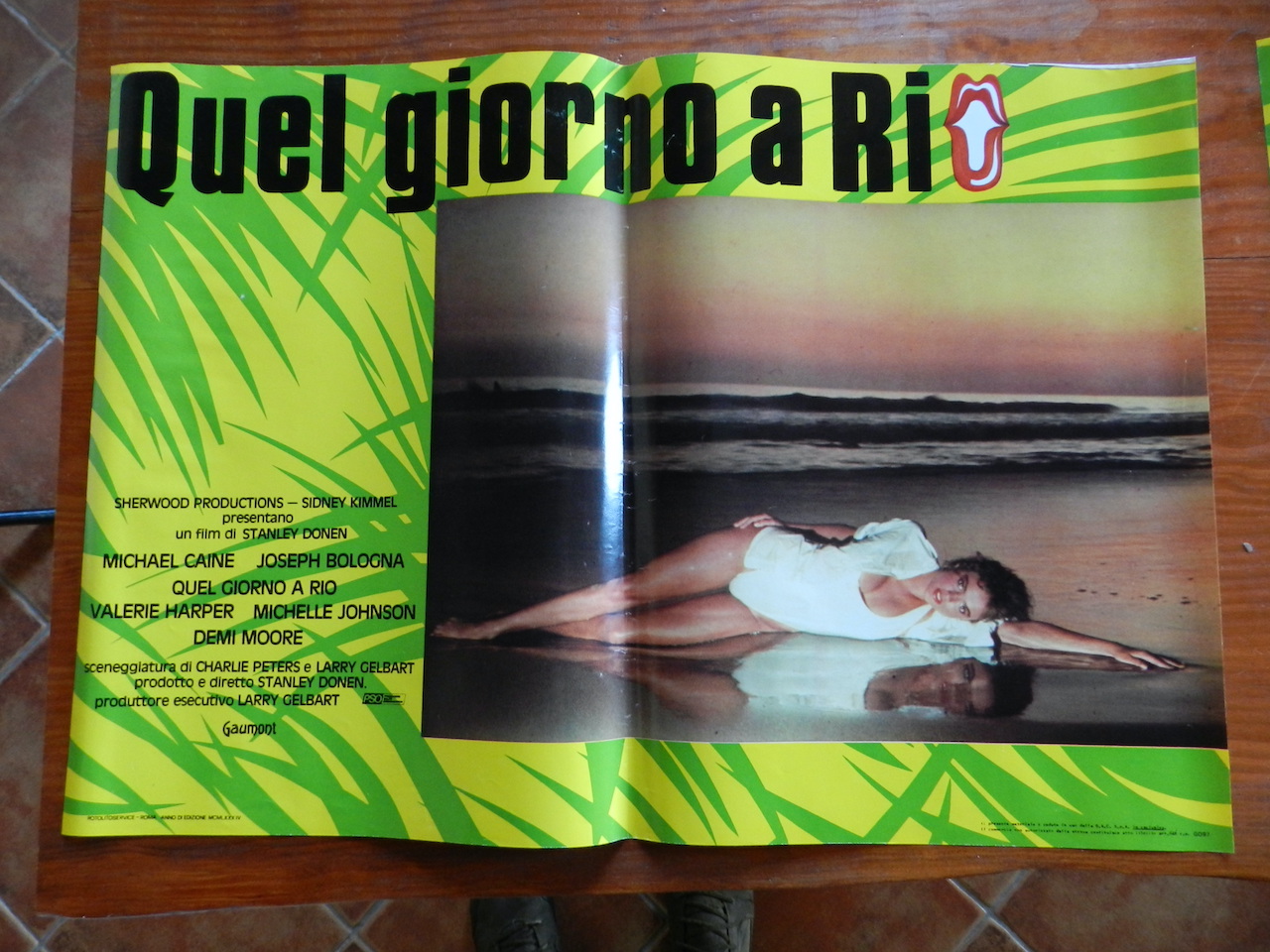 Quel giorno a Rio_6
