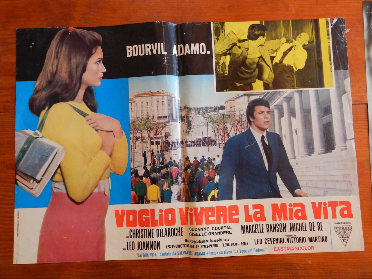 Voglio vivere la mia vita