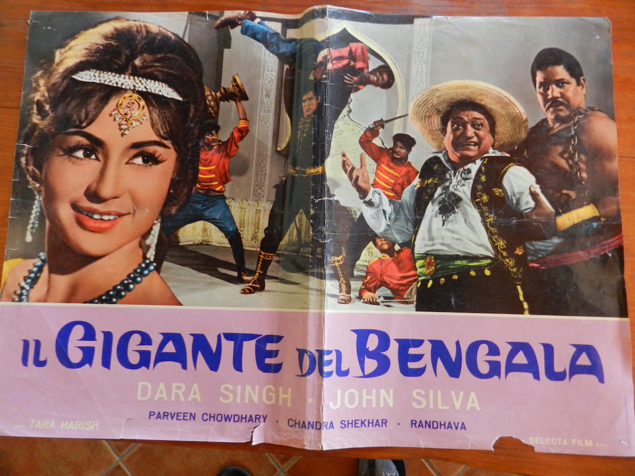 Il gigante del Bengala