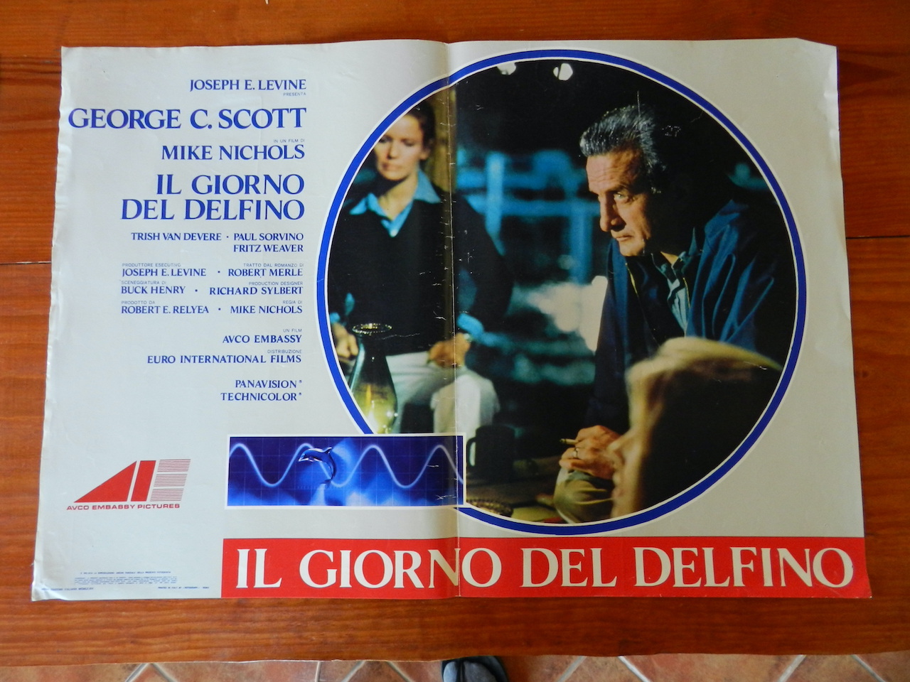 Il giorno del delfino