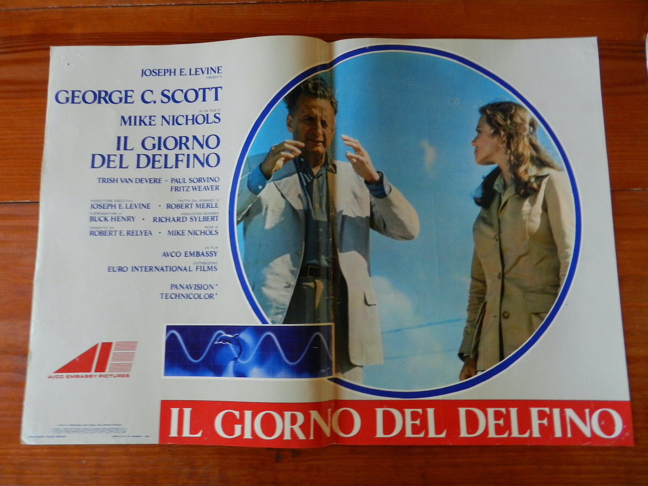 Il giorno del delfino_2