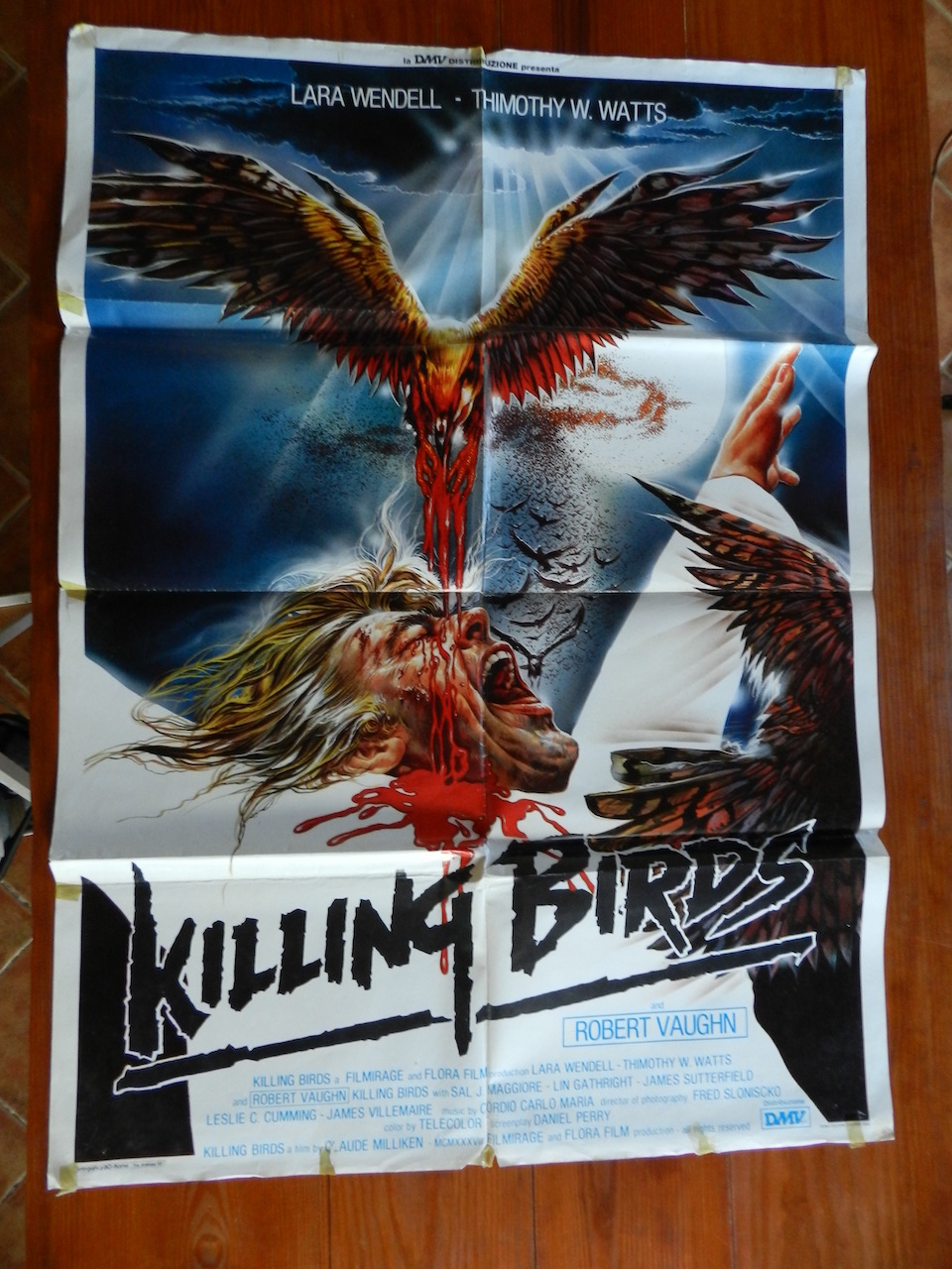 Killing Birds