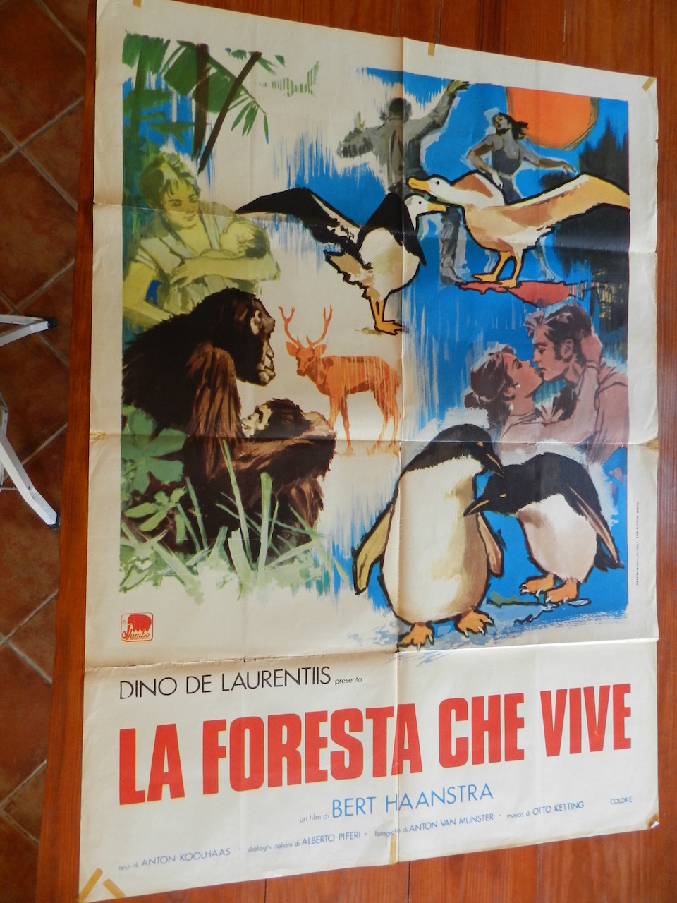 La foresta che vive