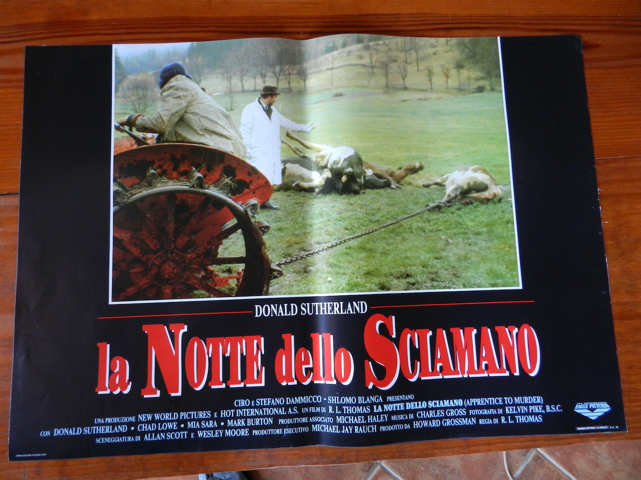 La notte dello sciamano_2