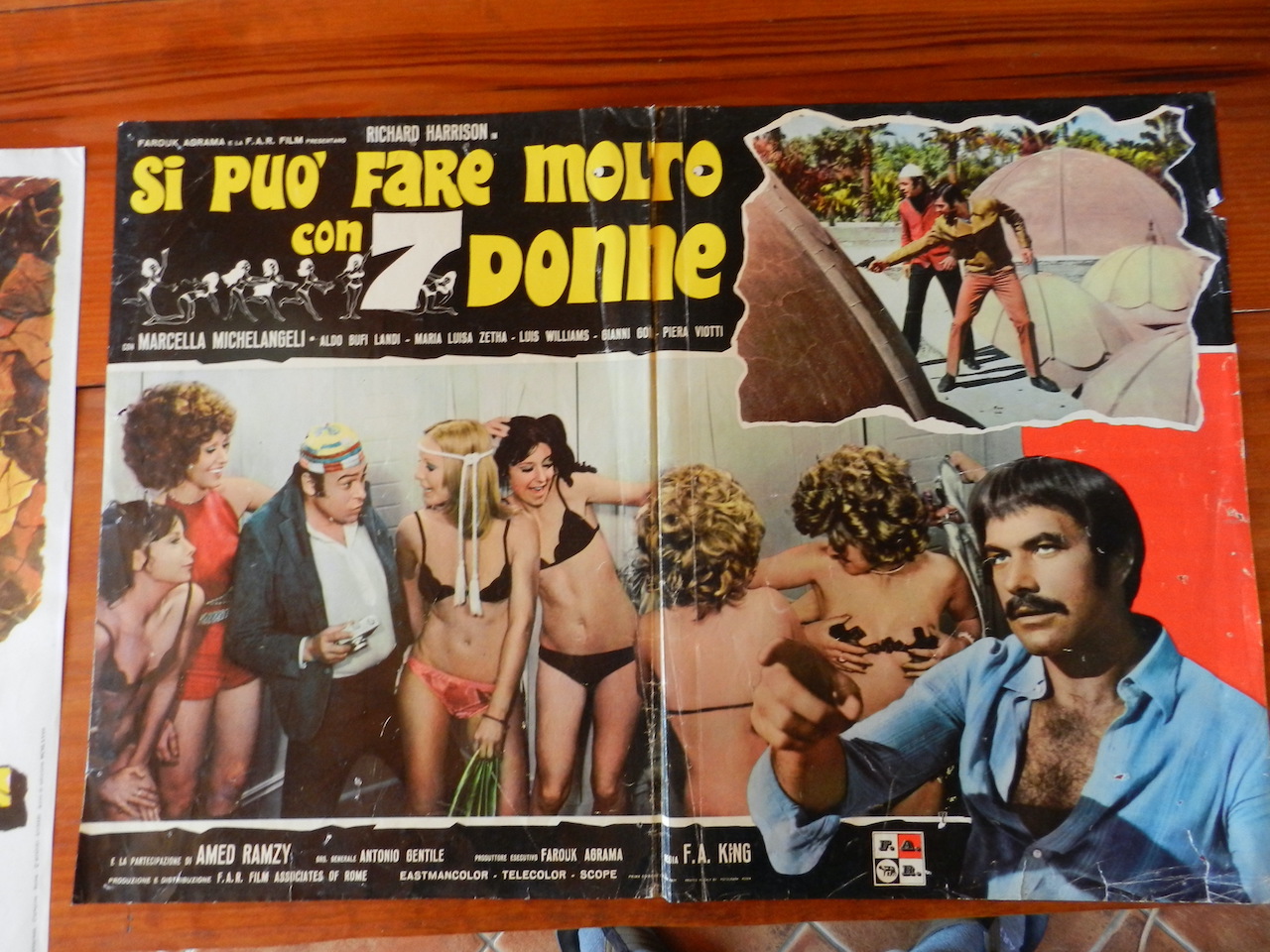 Si può fare molto con sette donne