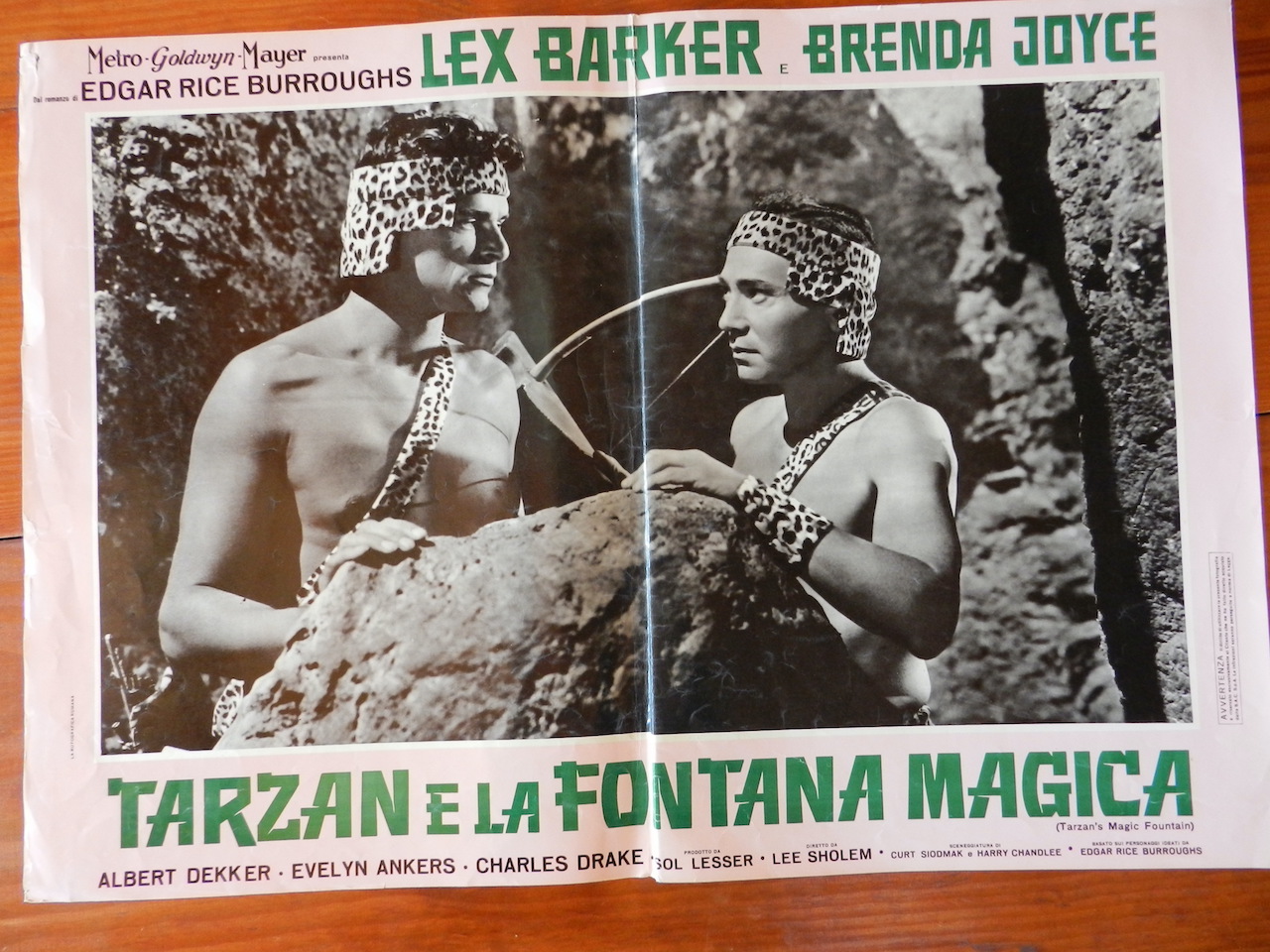 Tarzan e la fontana magica