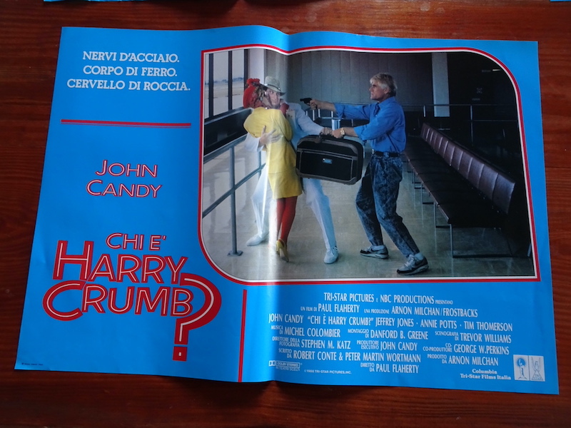 Chi è Harry Crumb_5