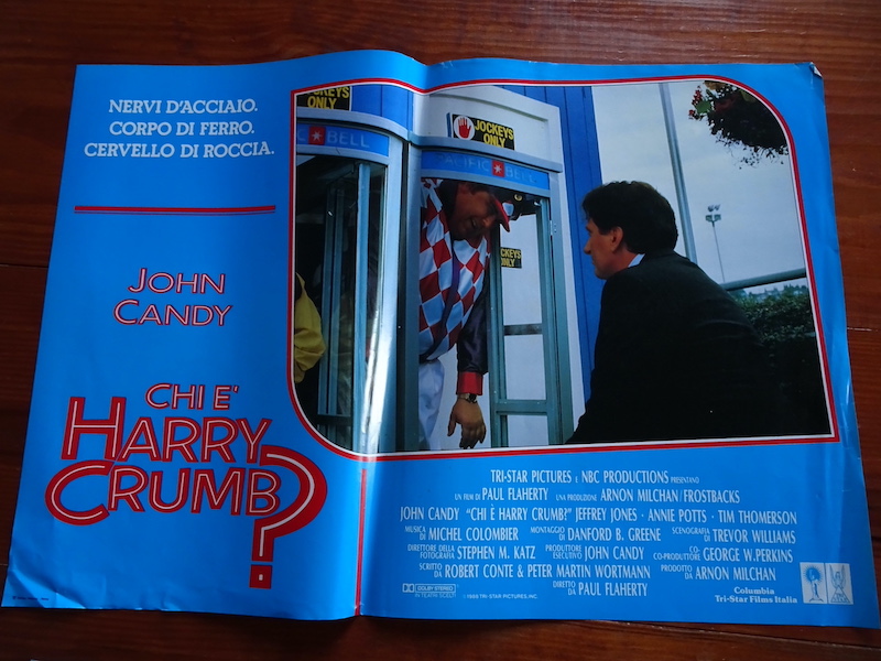 Chi è Harry Crumb_6