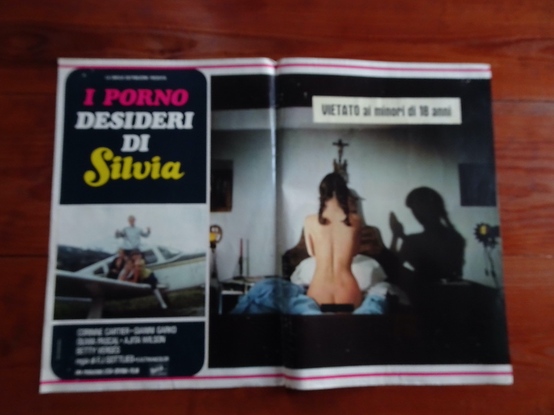 I porno desideri di Silvia