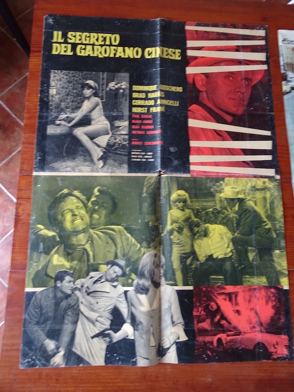 Il segreto del garofano cinese
