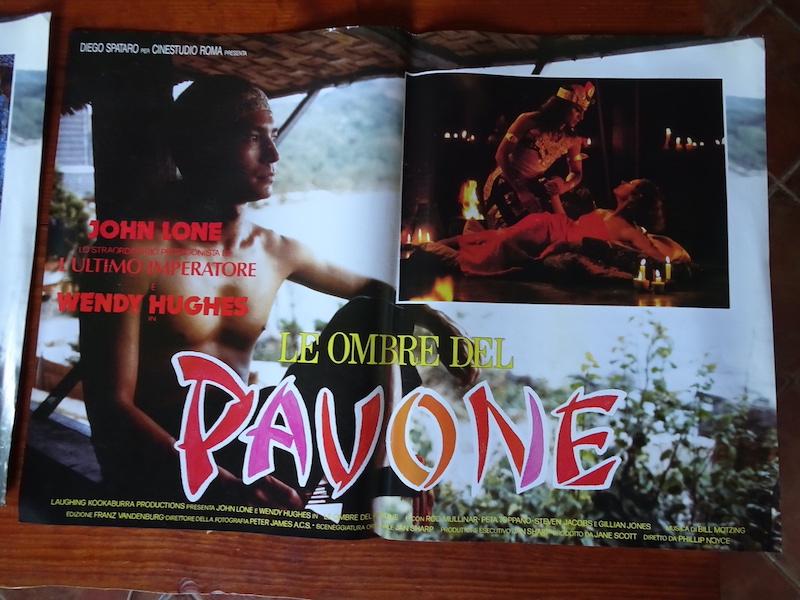 L_ombra del pavone_2